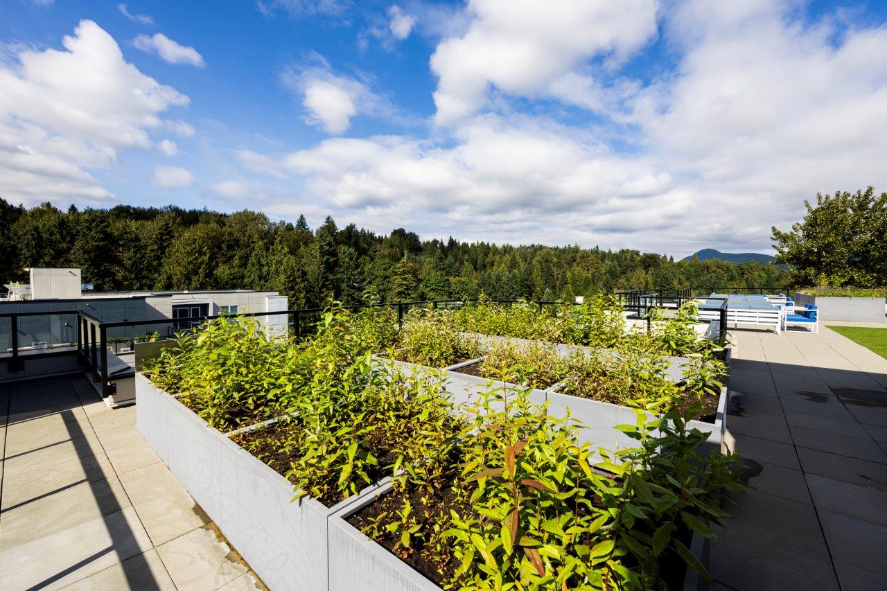 bedroom bathroom condo for rent in Port Moody ()